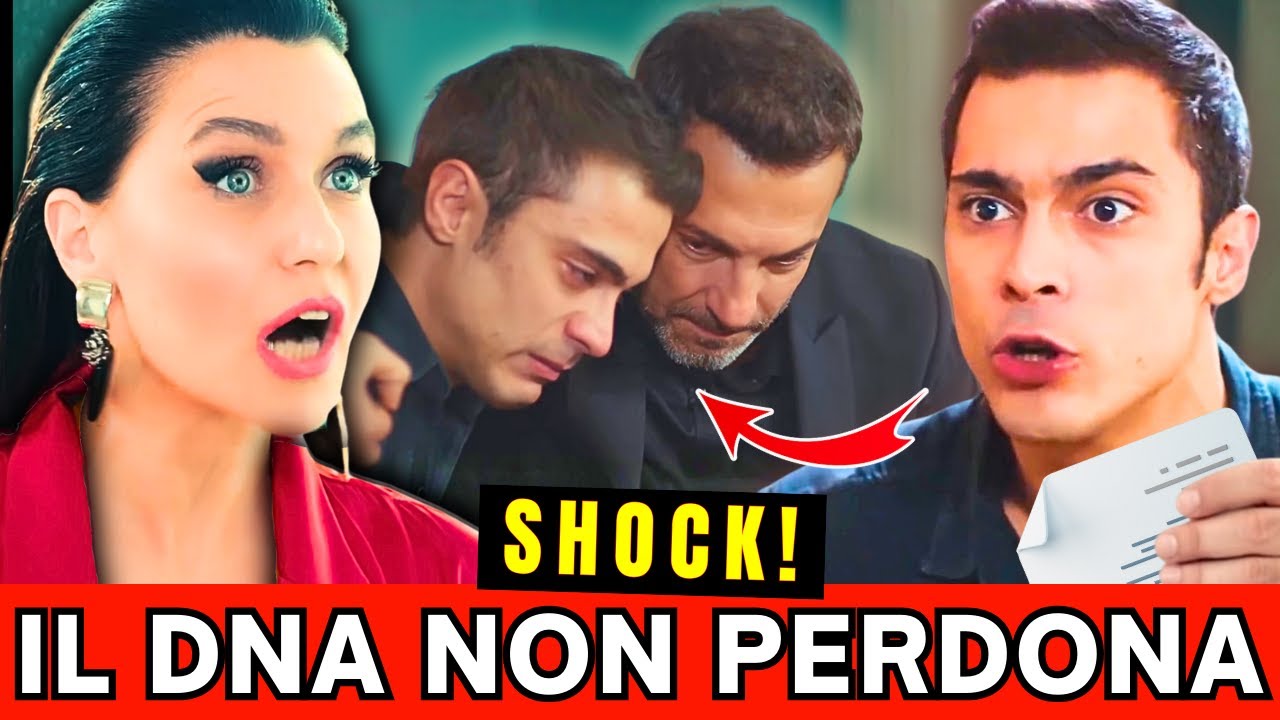 Yigit in lacrime: il test dna su Kaia svela se è suo padre e apre un caso | FORBIDDEN FRUIT