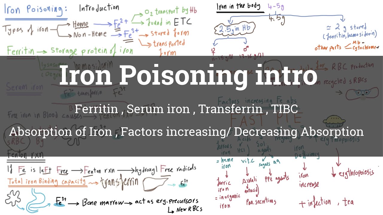 Introduction to iron poisoning  (arabic)