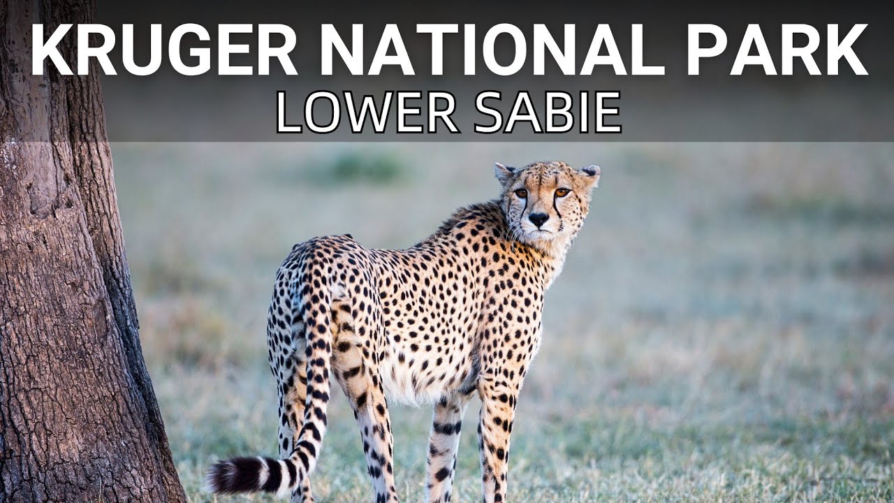Unspoiled Wilderness | Native Paths | Kruger National Park