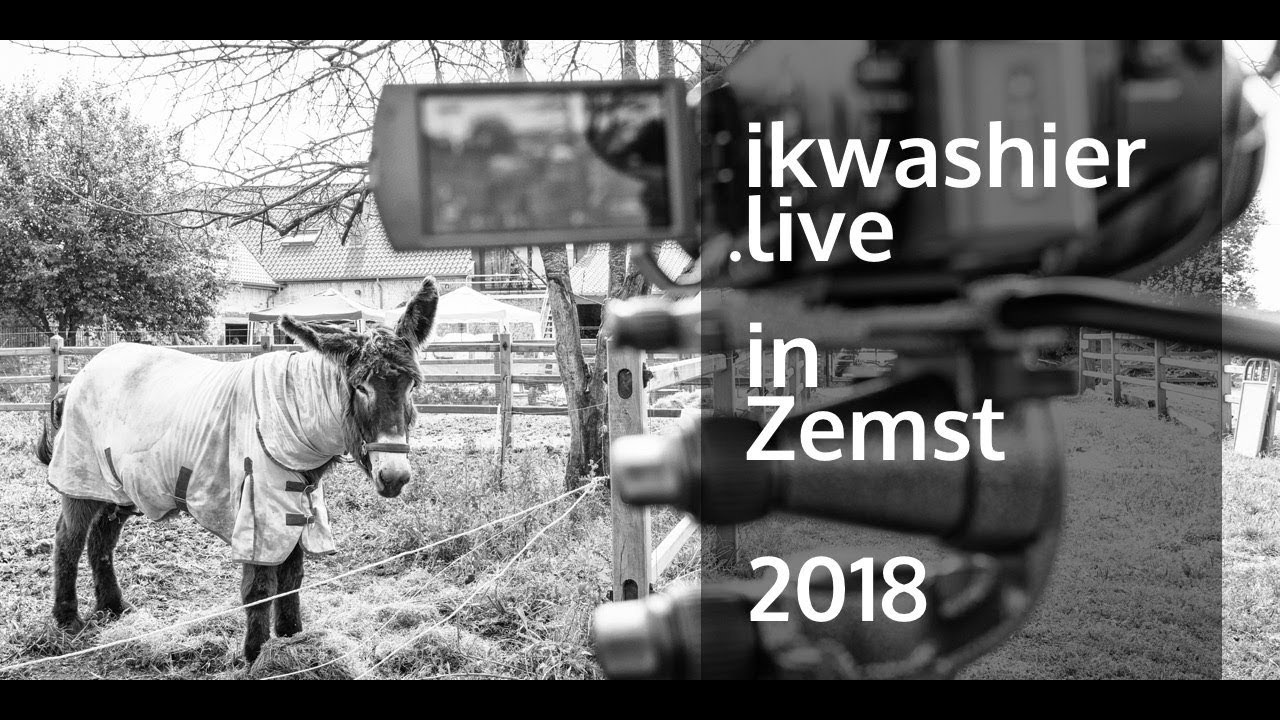 Filmcasting van Toke De Furnes, Poitou-ezel, 12 jaar en zwanger - ikwashier.live in Zemst