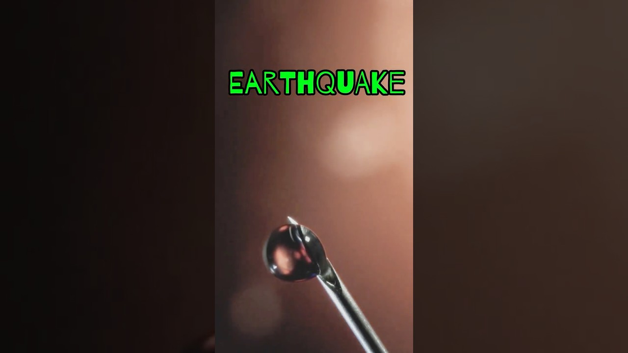 🌍 Earthquake Concentrate Review | Modern Flower at Trulieve 🍁 StankyFlowers