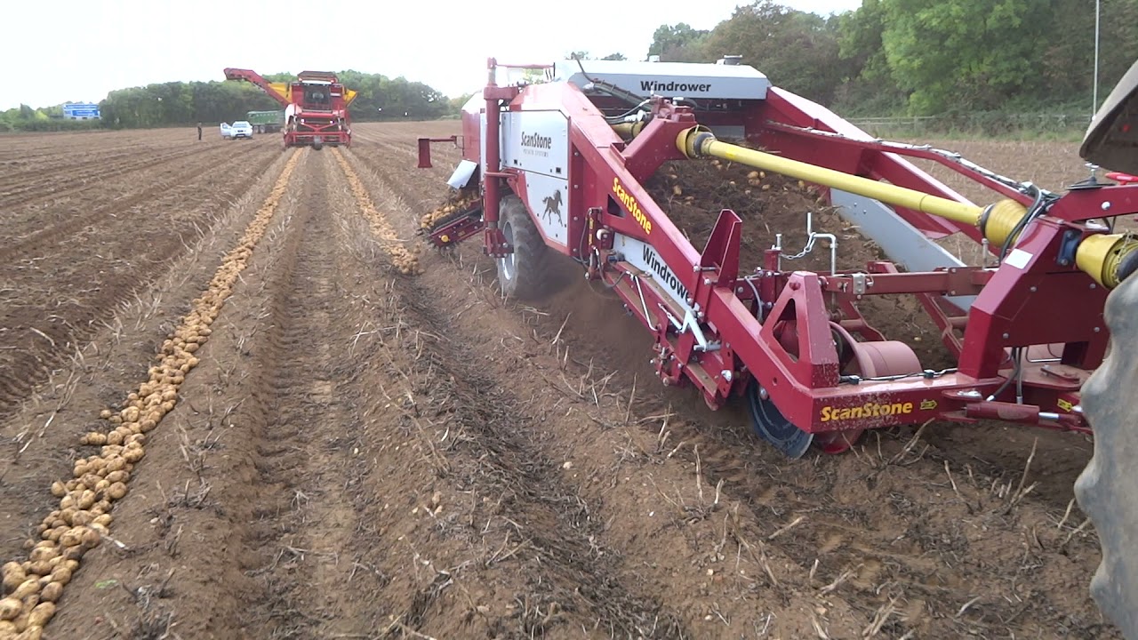 ScanStone Windrower in front of a Grimme self propelled 4 row