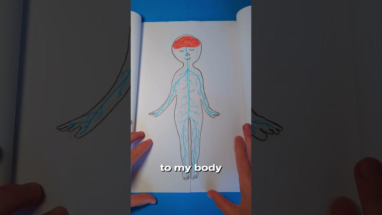 DIY book about My Body 📘🫁