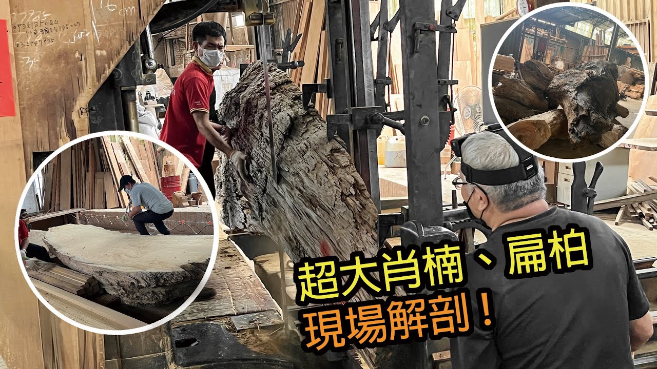 摩里沙卡【台灣肖楠、台灣扁柏（黃檜），裁剖「大板」全紀錄影片】