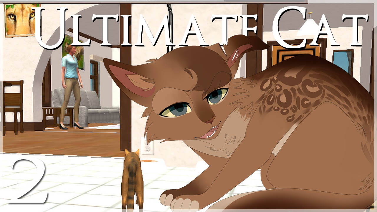 Человек в доме?! • Ultimate Cat Simulator — Эпизод №2