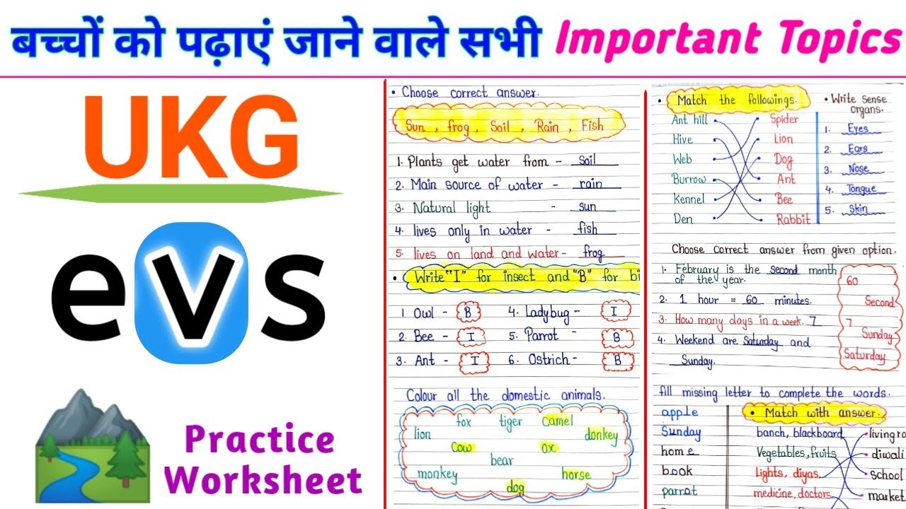🟢 UKG EVS Worksheet | EVS Worksheet for UKG | senior kg EVS Worksheet