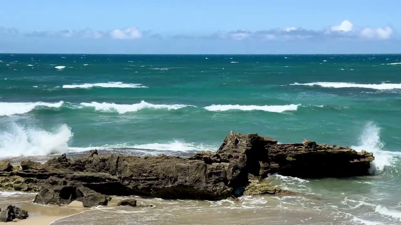 Tropical Beach Waves | Powerful Ocean ASMR for Deep Relaxation, Focus & Sleep