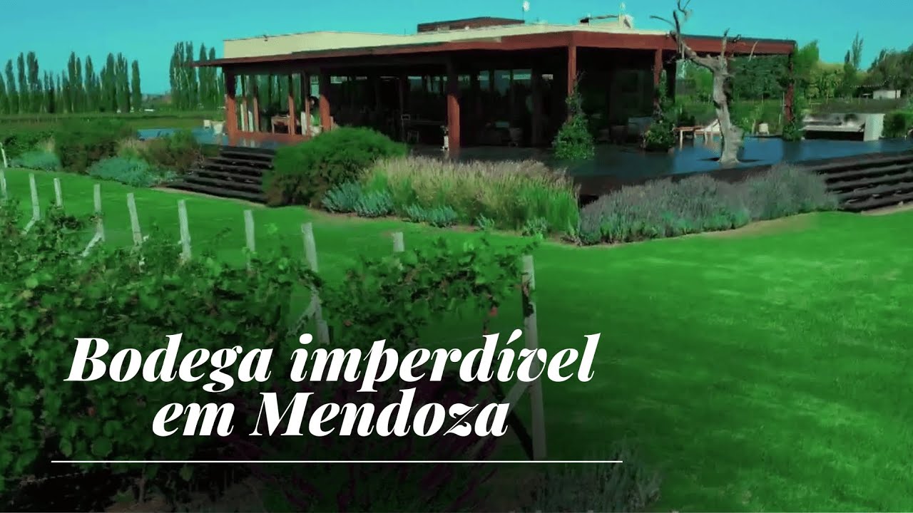 Cheval des Andes: conheça esse passeio imperdível em Mendoza