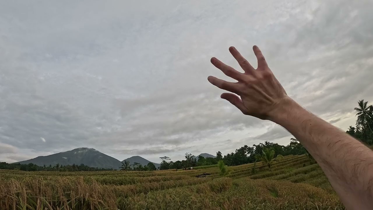 Run 003 - Penebel Rice Fields, Tabanan Regency, Bali/ Indonesia - 31st December 2025