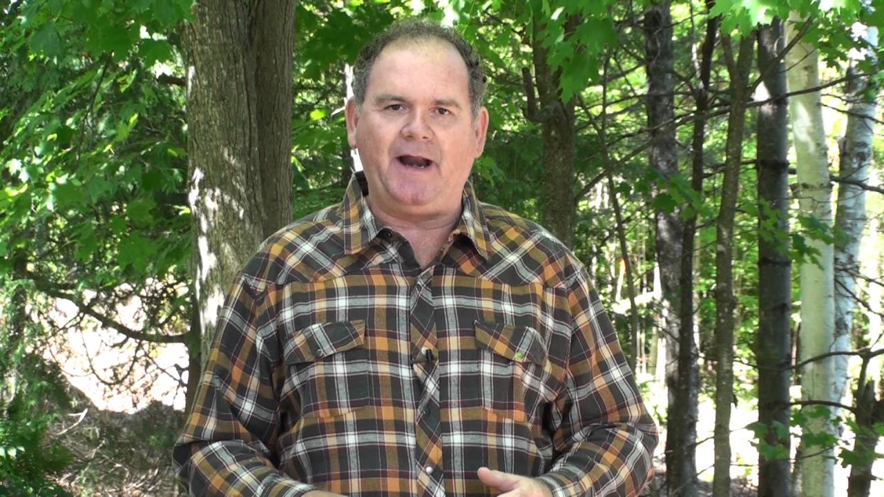 Mufferaw Joe   The Story of Barrum