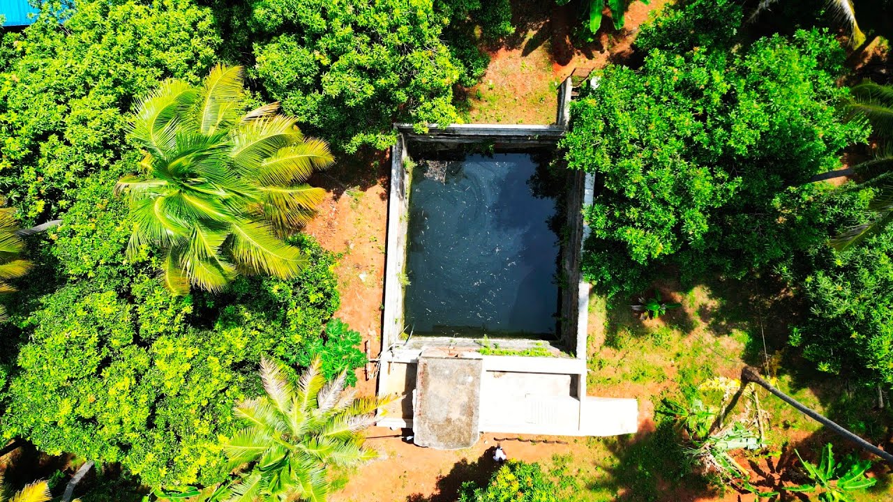 #தென்காசி |கீழபுலியூர் அருகில் 5.5ஏக்கர் தோப்பு விற்பனைக்கு கிணறு பம்புசெட் அடங்கியது 9755395593🌴🌴🌳🌳