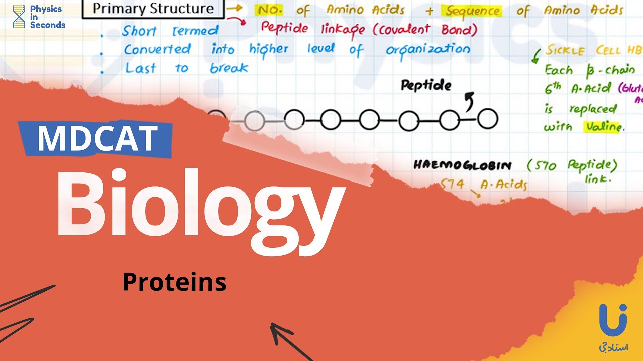 #MDCAT - Biology - Exclusive Live Lecture - Proteins