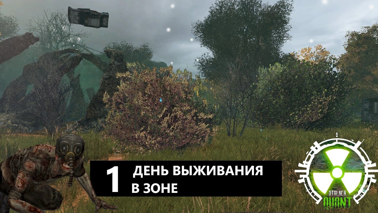 DAYZ | STALKER PVE | QUANT |  НАЧАЛО. 1-й ДЕНЬ ВЫЖИВАНИЯ #dayz