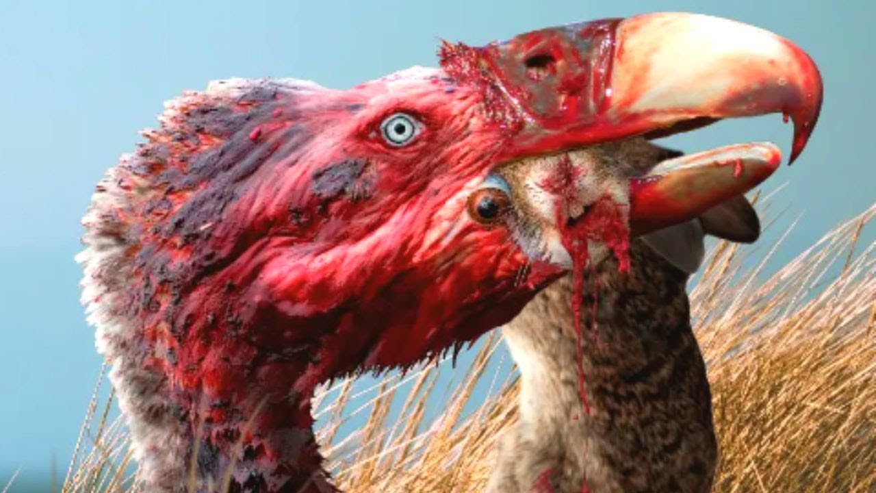 Aves del Terror - El Regreso de los Dinosaurios