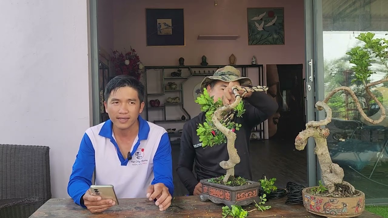 PAN CITY 🌺 Những Nguyên nhân 