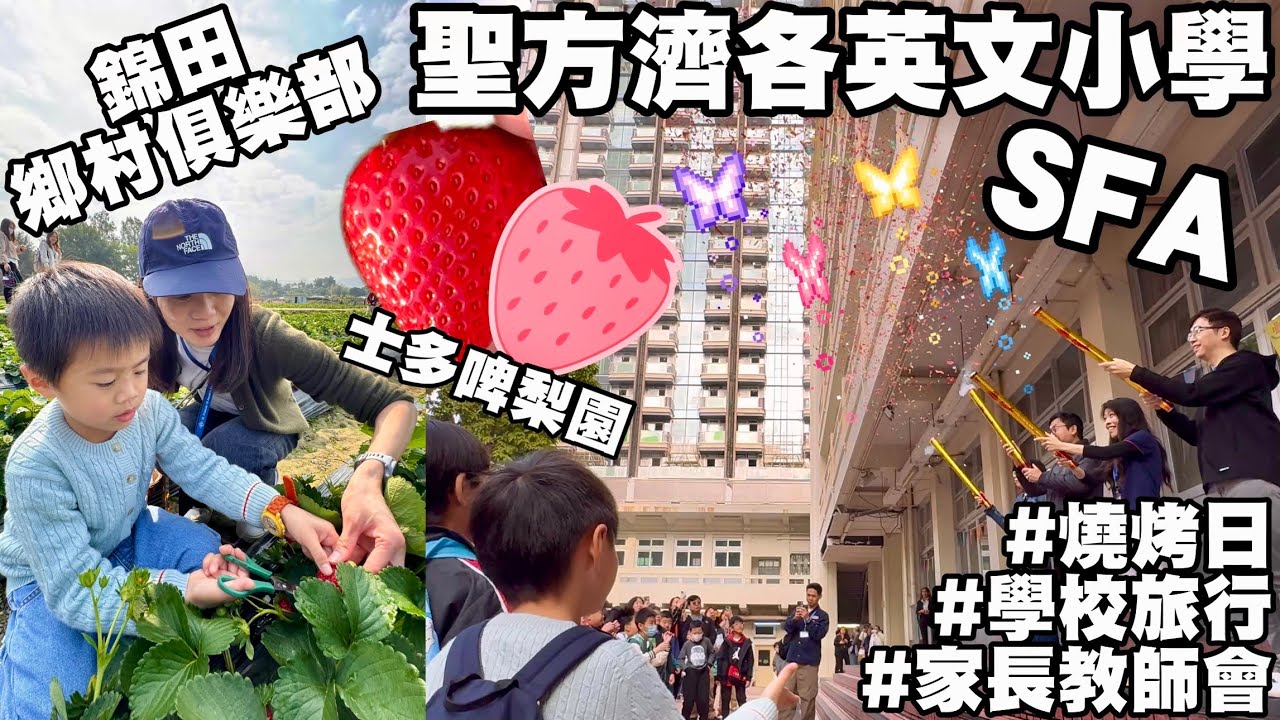 SFA PTA Picnic Platinum Jubilee Fun Day 聖方濟各英文小學 家長教師會 旅行 燒烤日 錦田鄉村俱樂部 士多啤梨園