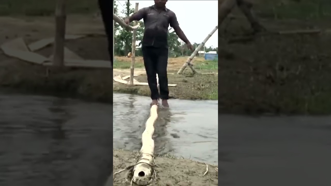 Assam flood ruins agricultural fields