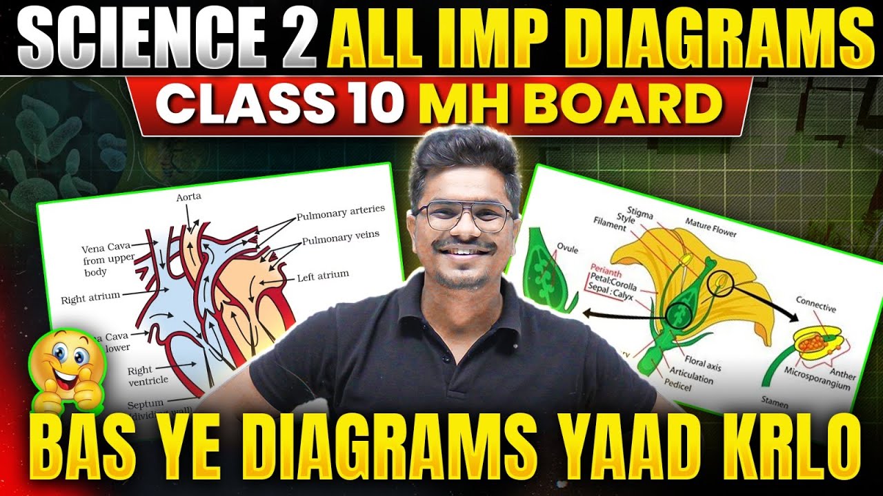🤯 All Important Diagrams in One Shot | Class 10 BIOLOGY | MH Board 2026