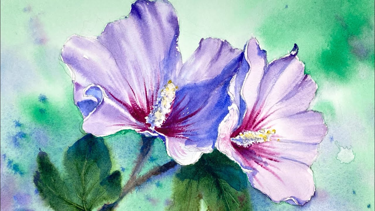 Rose of Sharon- Mugunghwa(무궁화)- How to Draw Shadow- Watercolor Painting -Tutorial Step by Step