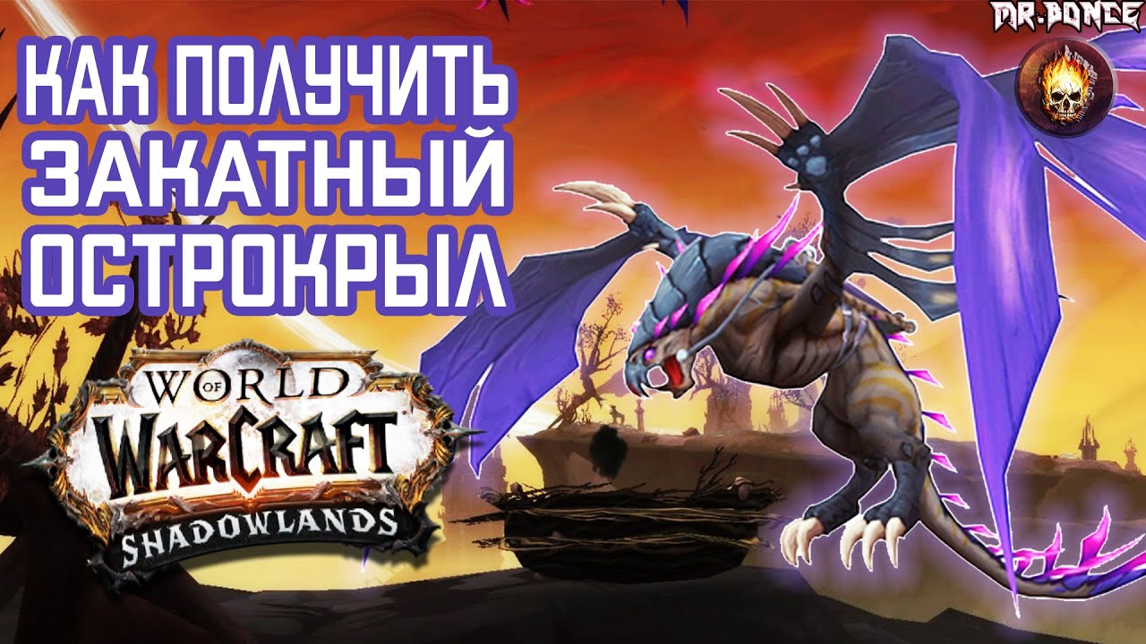 Закатный Острокрыл Как Получить Маунта World of Warcraft Shadowlands 9.1