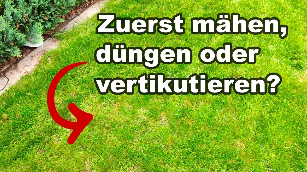 Das ist die richtige Reihenfolge bei der Rasenpflege im Fr&uuml;hjahr!