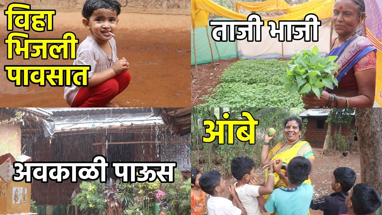 अवकाळी पाऊस 🌧️ विहा भिजली 😍 पडके आंबे 🍋 ताजी भाजी 🥬 | Real Konkan Village Life | Konkan Sanskruti