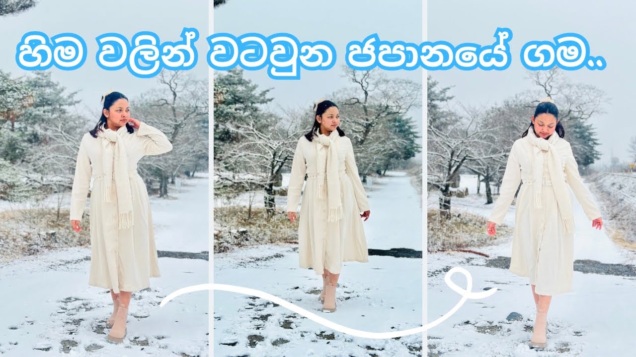 හිම