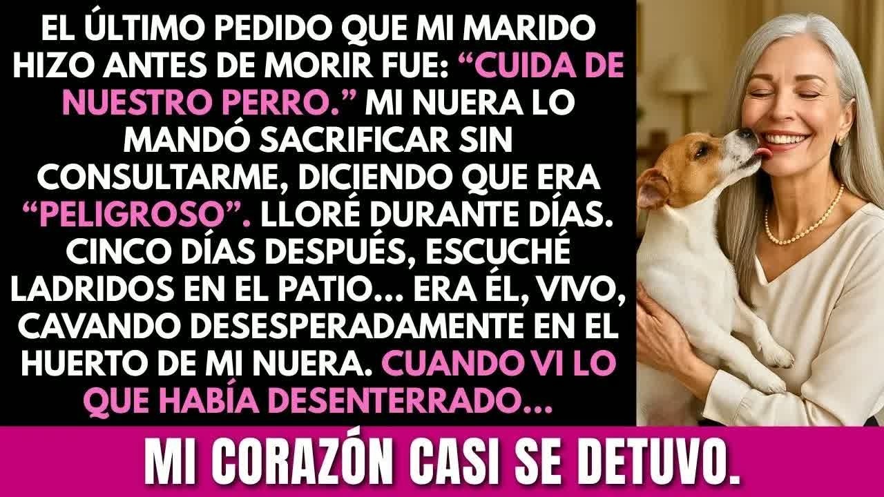 Mi nuera sacrificó al perro que mi difunto esposo me dejó para “cuidar”. Días después, lo encontré…