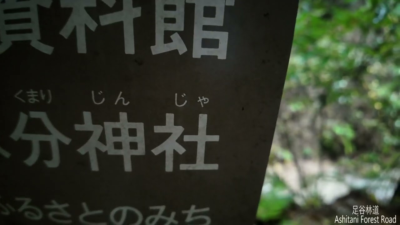 AS3ちょこっと登山・・足谷林道その３