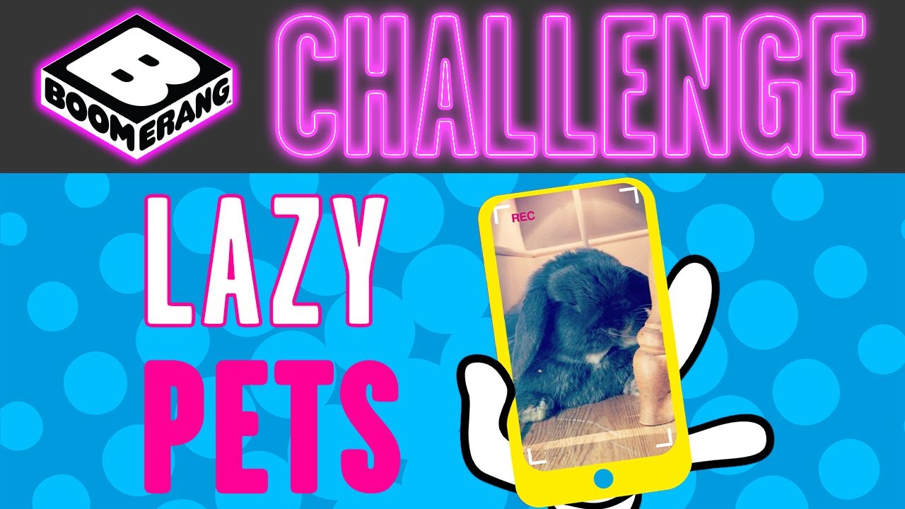 Boomerang Challenge | Lazy Pets Challenge | Boomerang UK 🇬🇧