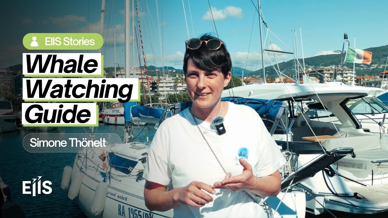 Real Experience, Real Value: Simone Thönelt on Whale Watching & Networking with EIIS