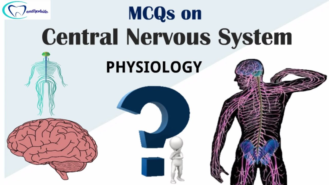 MCQs on Cental Nervous System || Physiology || Dentophile