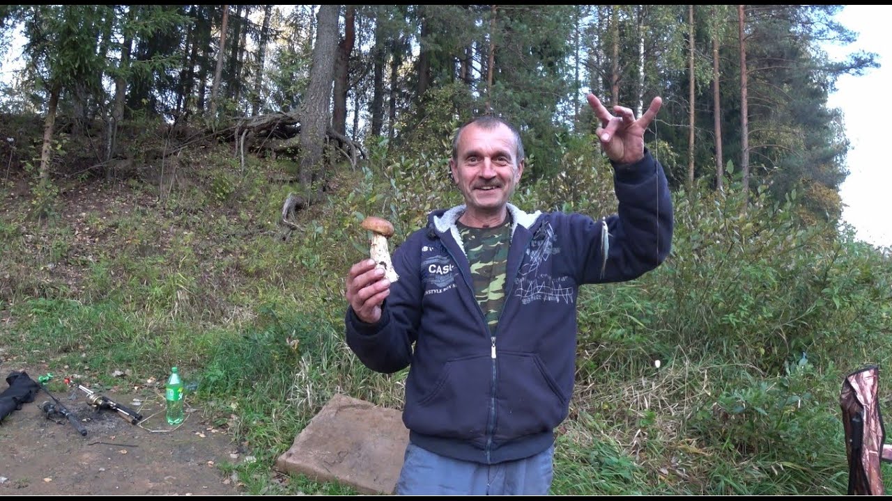 Рыбалка на реке Луга. За налимом. Октябрь.