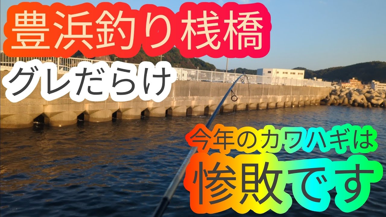 今年のカワハギは惨敗です…豊浜釣り桟橋 愛知県 知多半島 南知多 海釣り fishing 根魚 カサゴ グレ