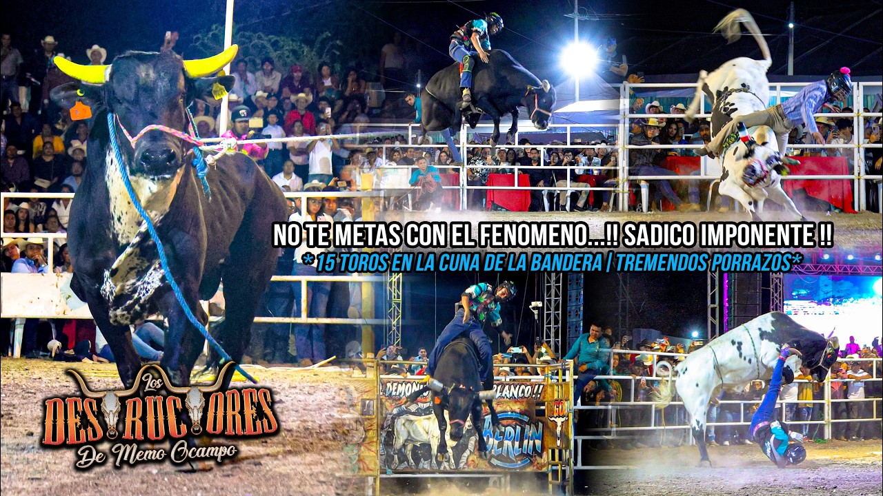 NO TE METAS CON EL FENOMENO...!!SADICO IMPONENTE!! | 15 TOROS EN LA CUNA| Destructores Iguala Gro 26