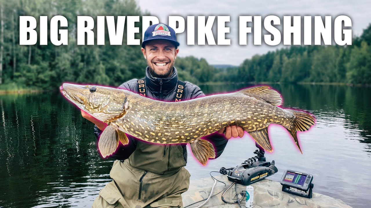 BIG RIVER hold the BIGGEST pike?