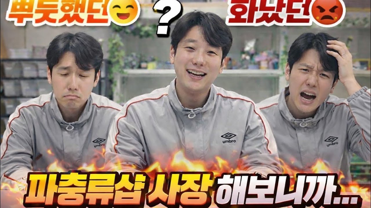 파충류샵...현타...옵니다...#오케이게코  #파충류 #희귀애완동물 #게코 #크레스티드게코 드#브리딩 #도마뱀 #reptiles #oktv