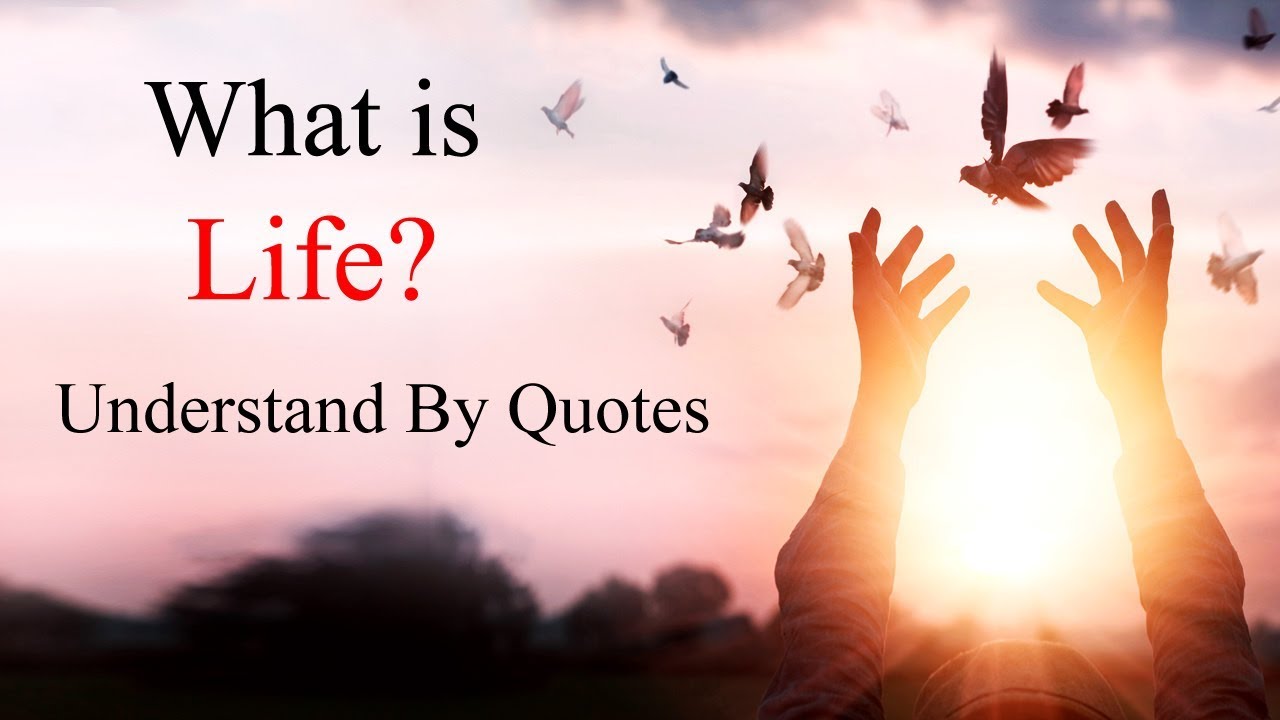What is Life? Understand By These 12 True Meaningful Life Quotes