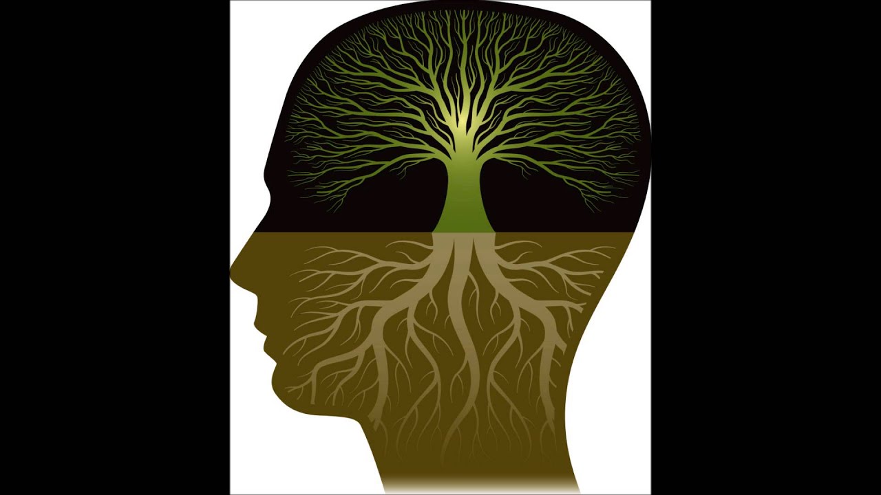 Rudolf Steiner - the path to knowledge
