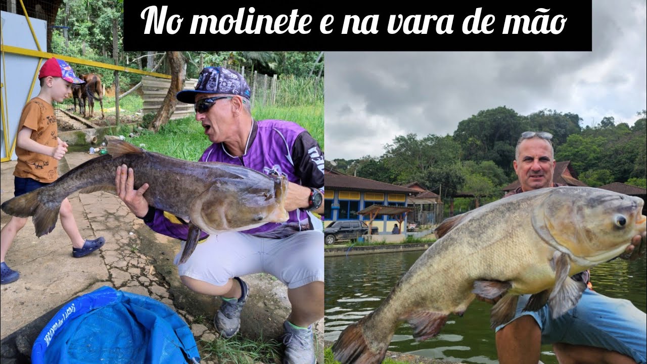 Pesca de carpa-cabeçuda no Pesqueiro Recanto Das Lagoas no molinete e na vara telescópica .