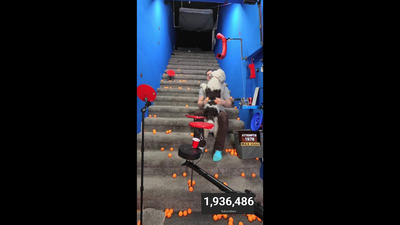 Trickshot Throwback