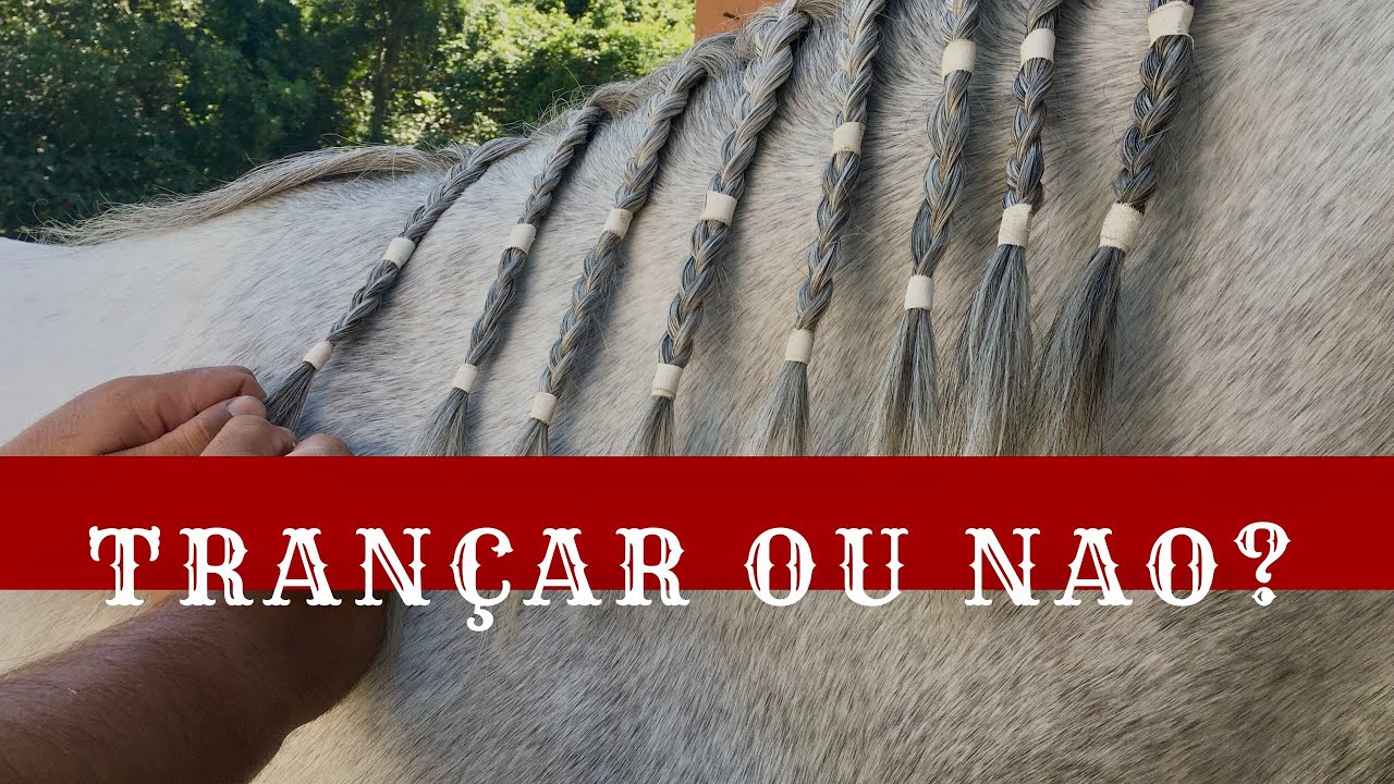 #NoGalope9 | Trança ajuda a Crina a Crescer? | Canal Jeito de Cowboy