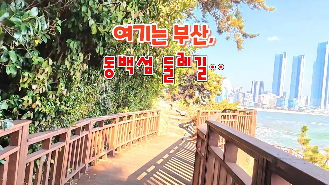 여기는 부산,동백섬 둘레길