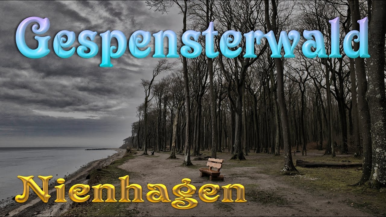 Gespensterwald in Nienhagen an der Ostseeküste