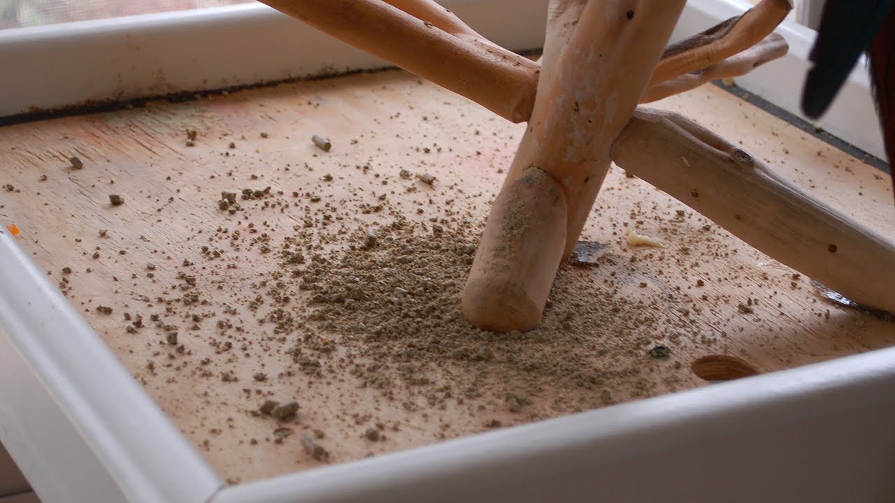 Parrot Pellet Powder | Useages