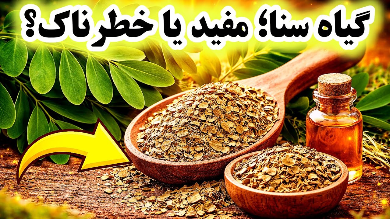 گیاه سنا چیست؟ | خواص، عوارض، نحوه مصرف و هشدارهای مهم