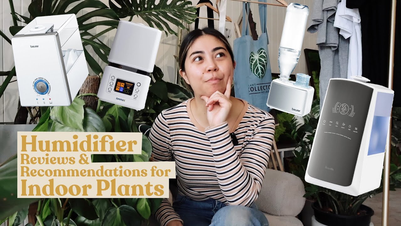 Humidifier Reviews & Recommendations for Indoor Plants