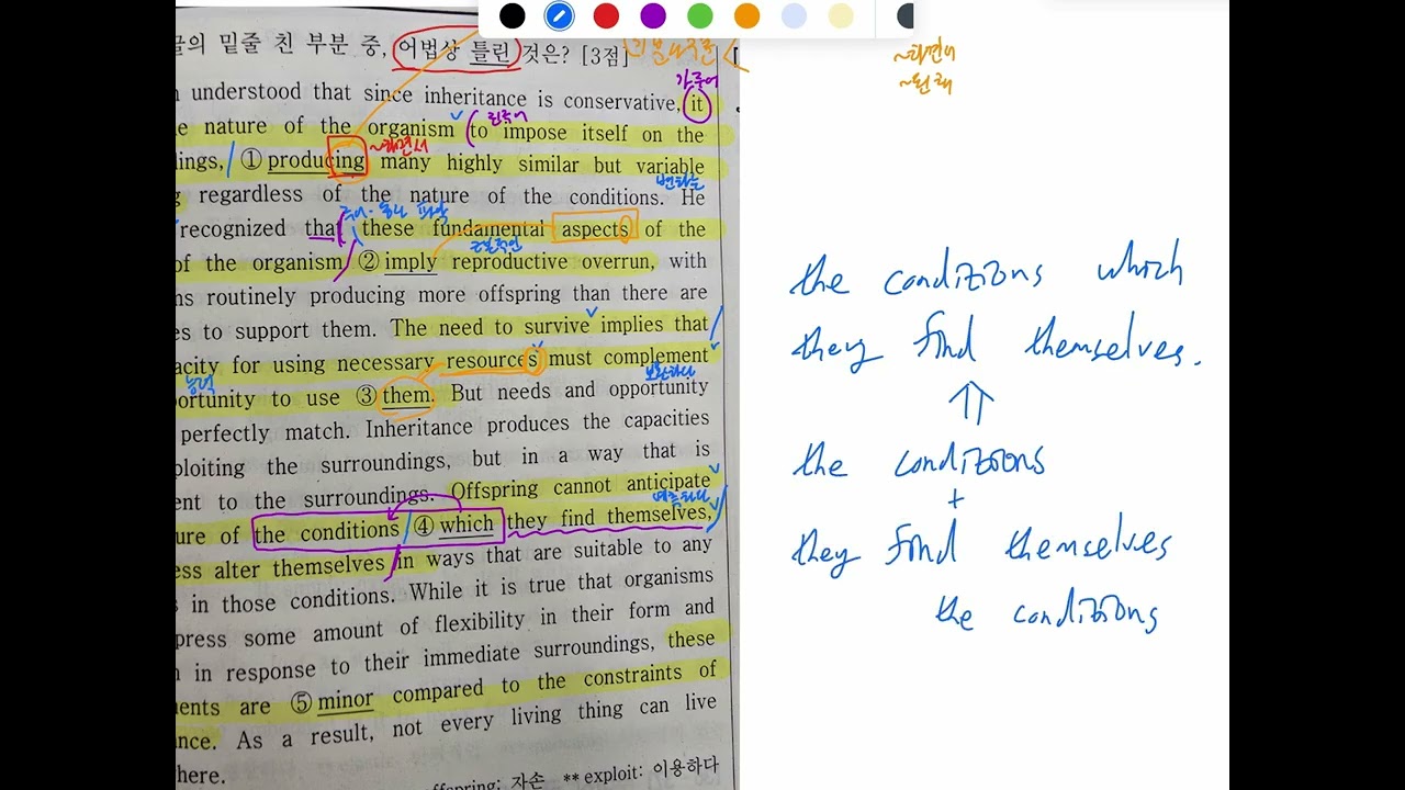 수능영어 어법문제 풀이 - 2026년 3월 모의고사 29번