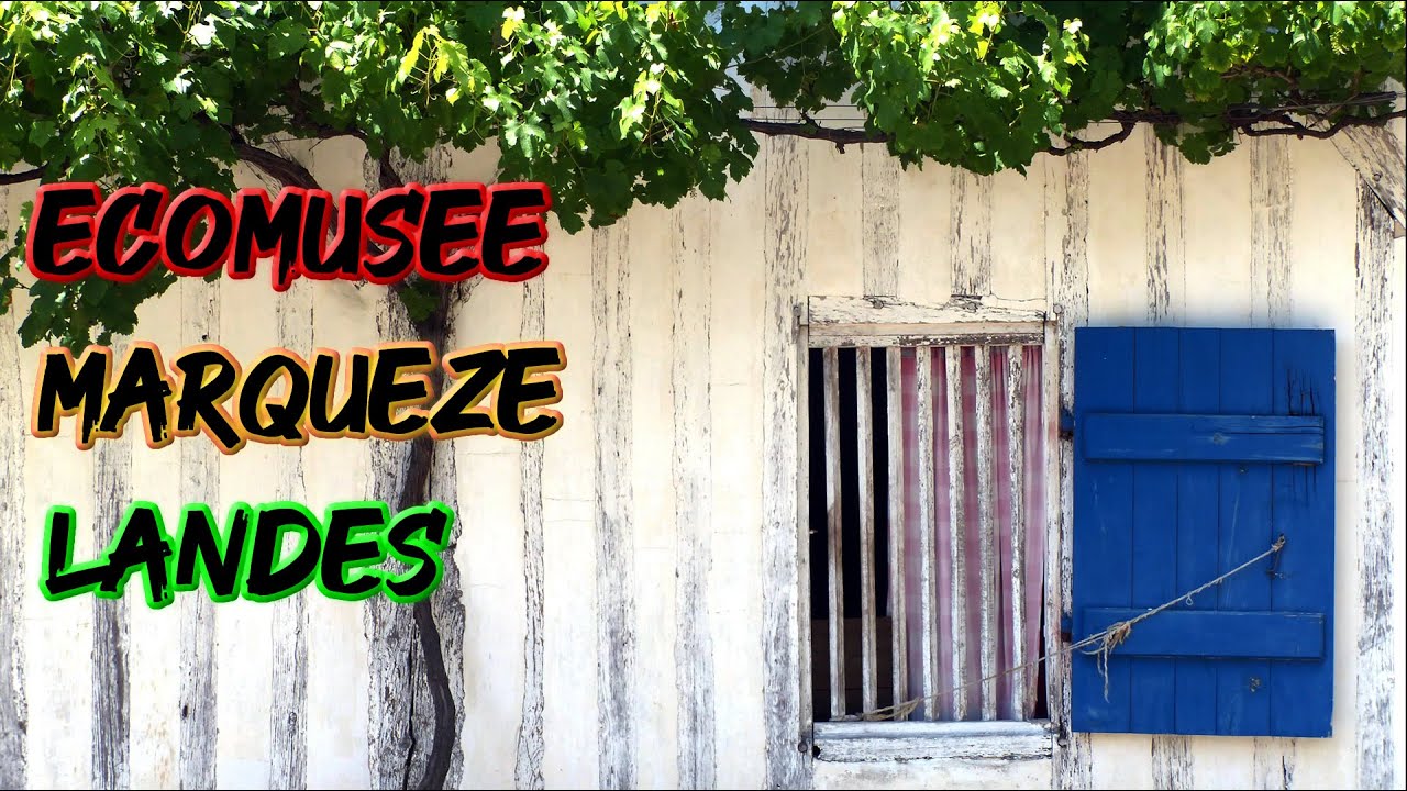 Histoire et balade &agrave; l'&eacute;comus&eacute;e de Marqu&egrave;ze (Landes)