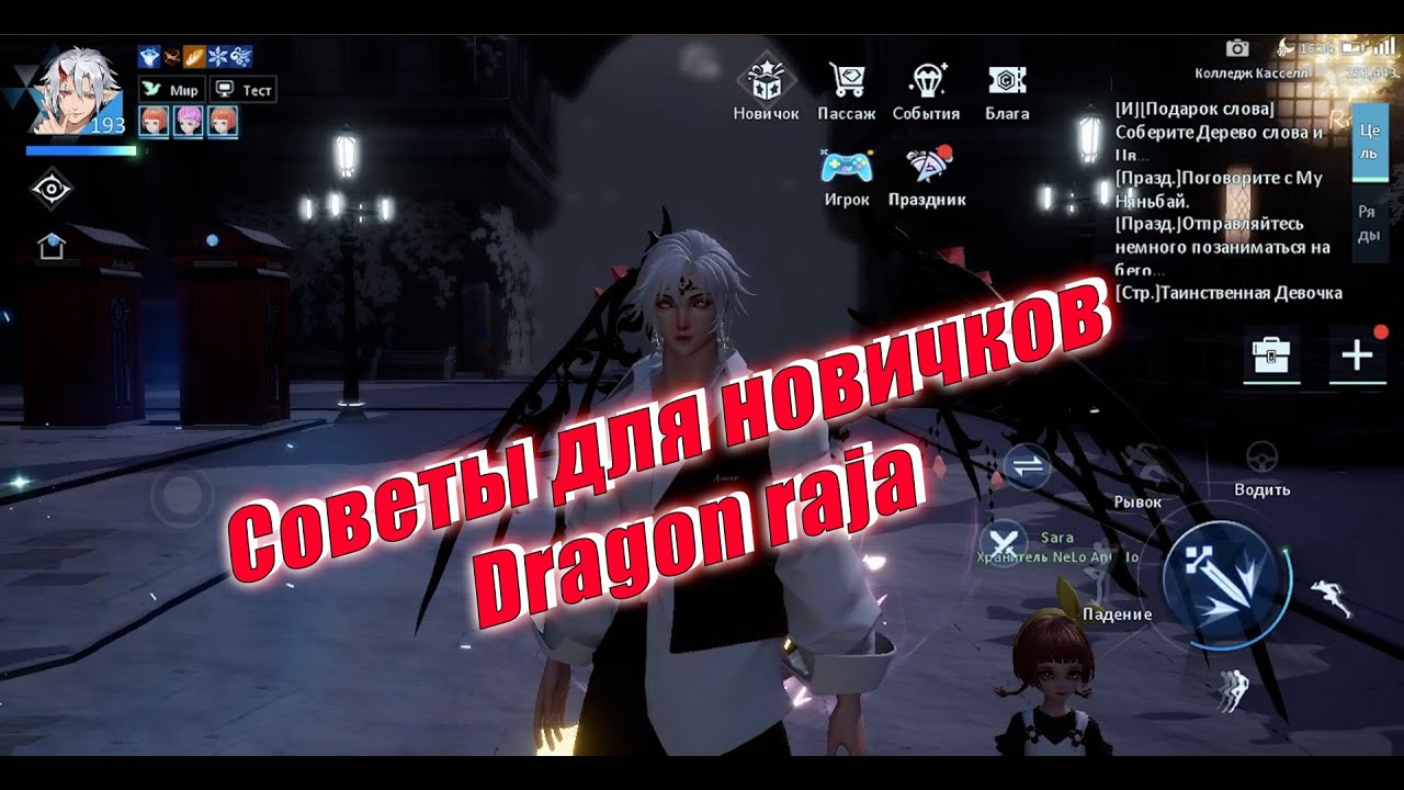 Советы новичкам по Dragon Raja
